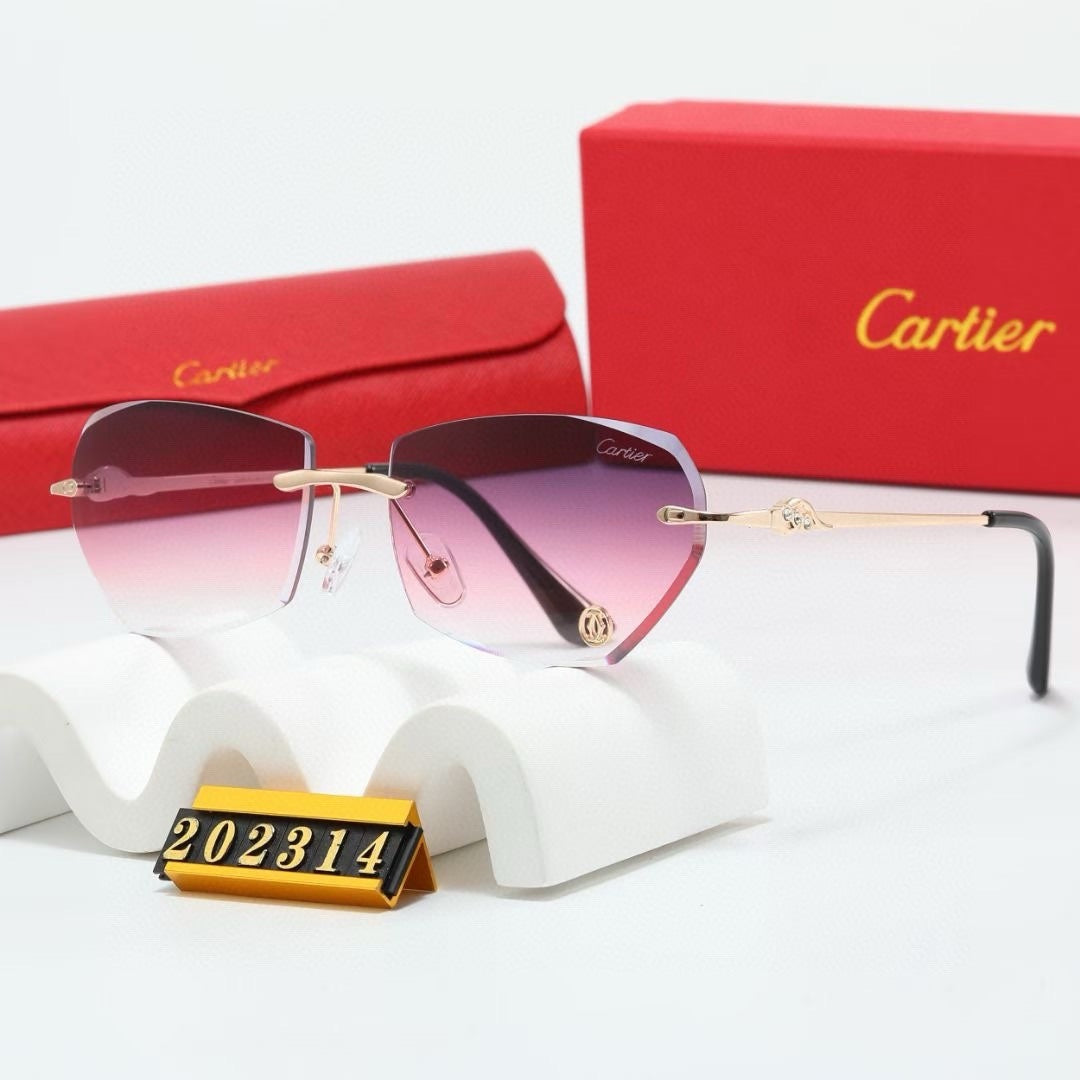 Fashion hot 6 color sunglasses 202314s