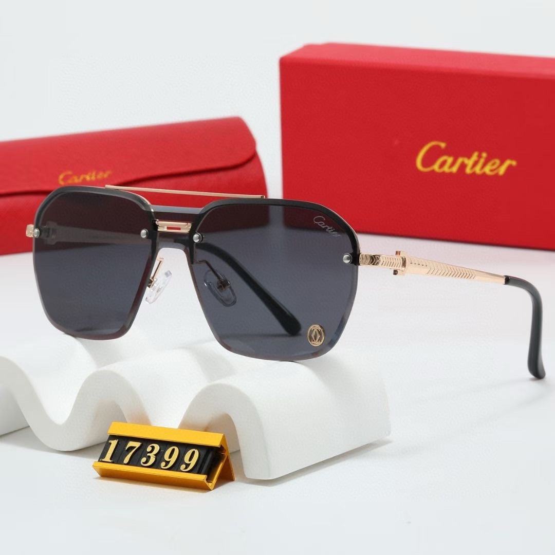 Fashion hot 5 color sunglasses 17399s
